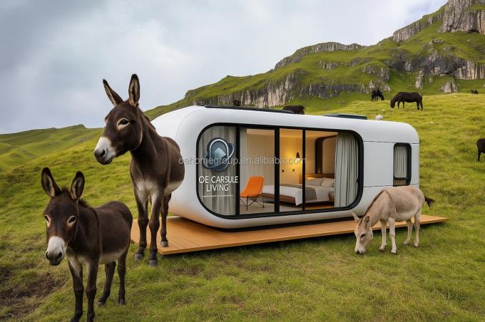 Casa container moderna di lusso da 20 piedi, piccola struttura prefabbricata in acciaio residenziale per hotel, ville e appartamenti 5